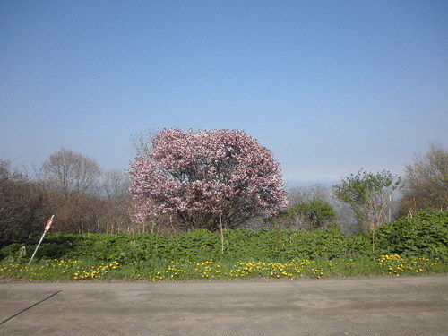 Ryuhyou No Oka 旅馆